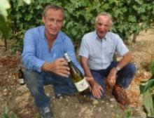 photo Les vins d'Occitanie ont le goût du bio